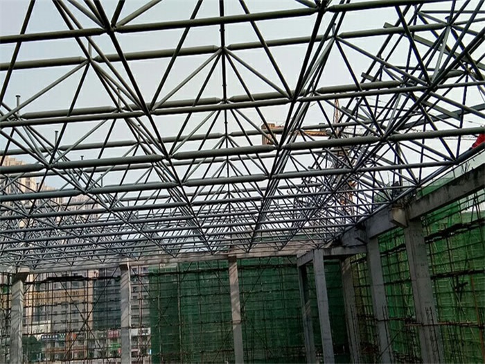大兴光谷第十一小学网架